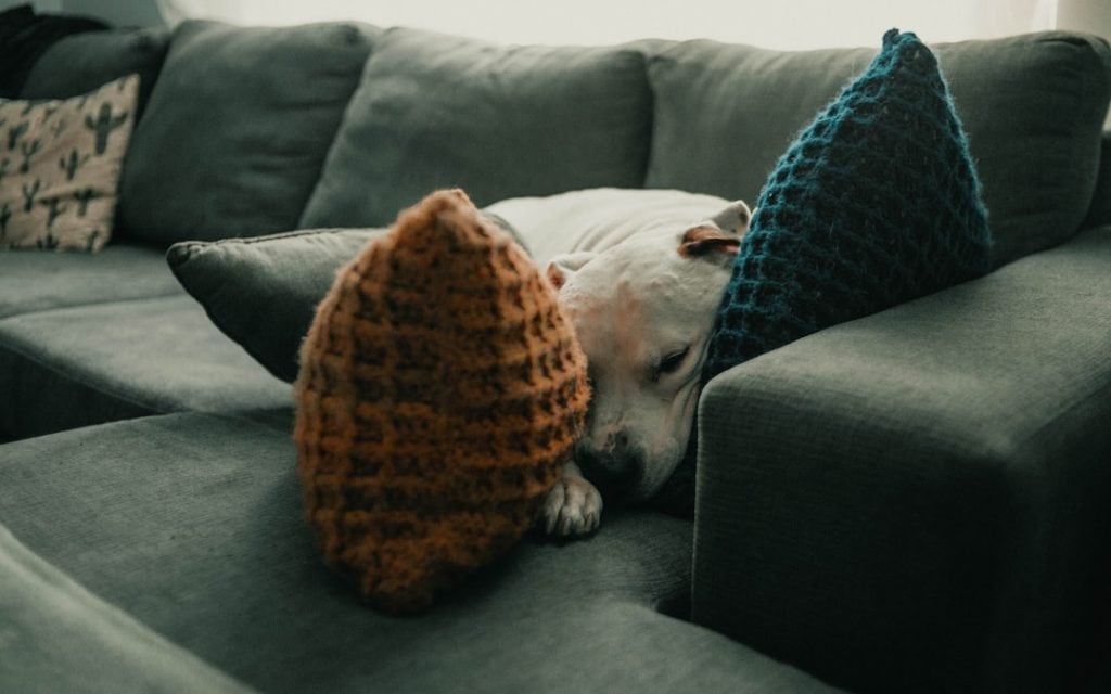 XXL Sofa